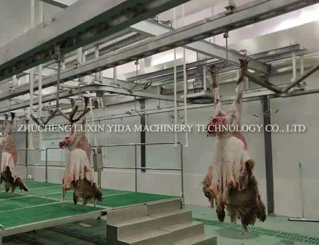 Full automatic European style sheep production line